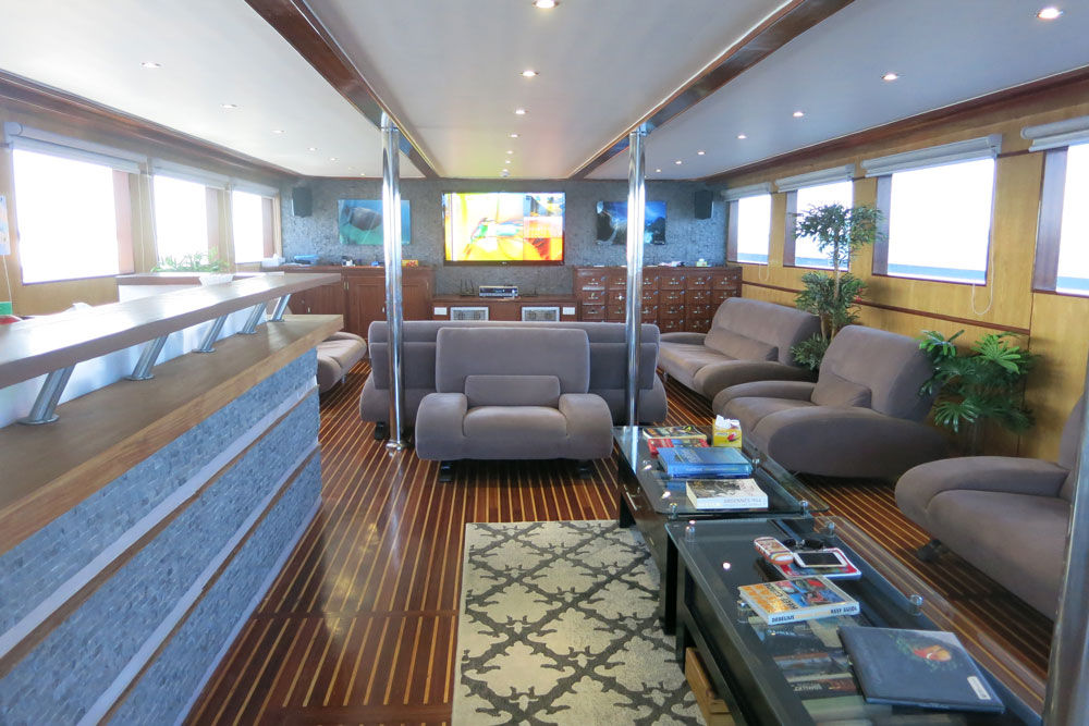 Bar and Lounge Area - Blue Voyager