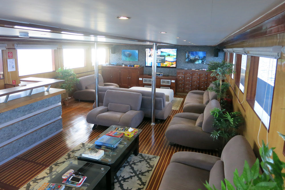 Bar and Lounge Area - Blue Voyager