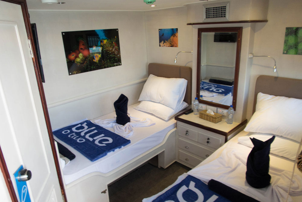 Twin Cabin - Blue Voyager