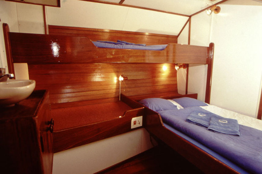 Double bed + single bunk cabin - Sea Shell Liveaboard