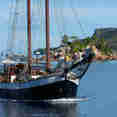 Sea Pearl