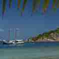 Sea Pearl