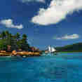 Sea Pearl