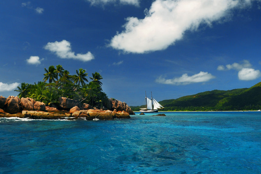 Sea Pearl