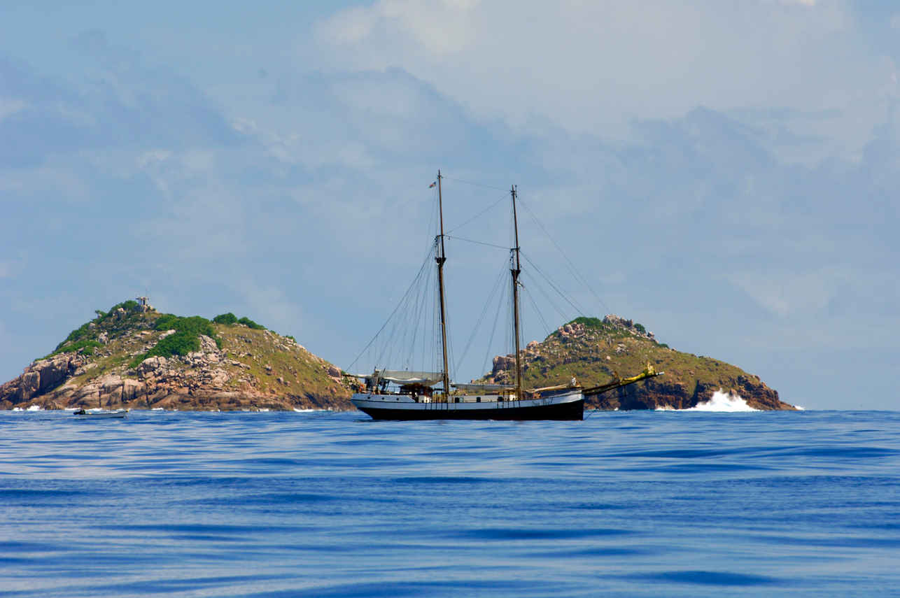 Sea Pearl