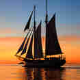 Sea Pearl