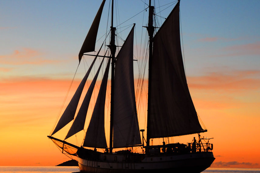 Sea Pearl
