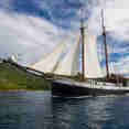 Sea Pearl
