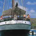 Sea Pearl