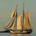 Sea Pearl