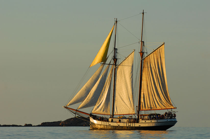 Sea Pearl