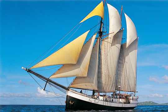 Sea Pearl