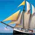 Sea Pearl