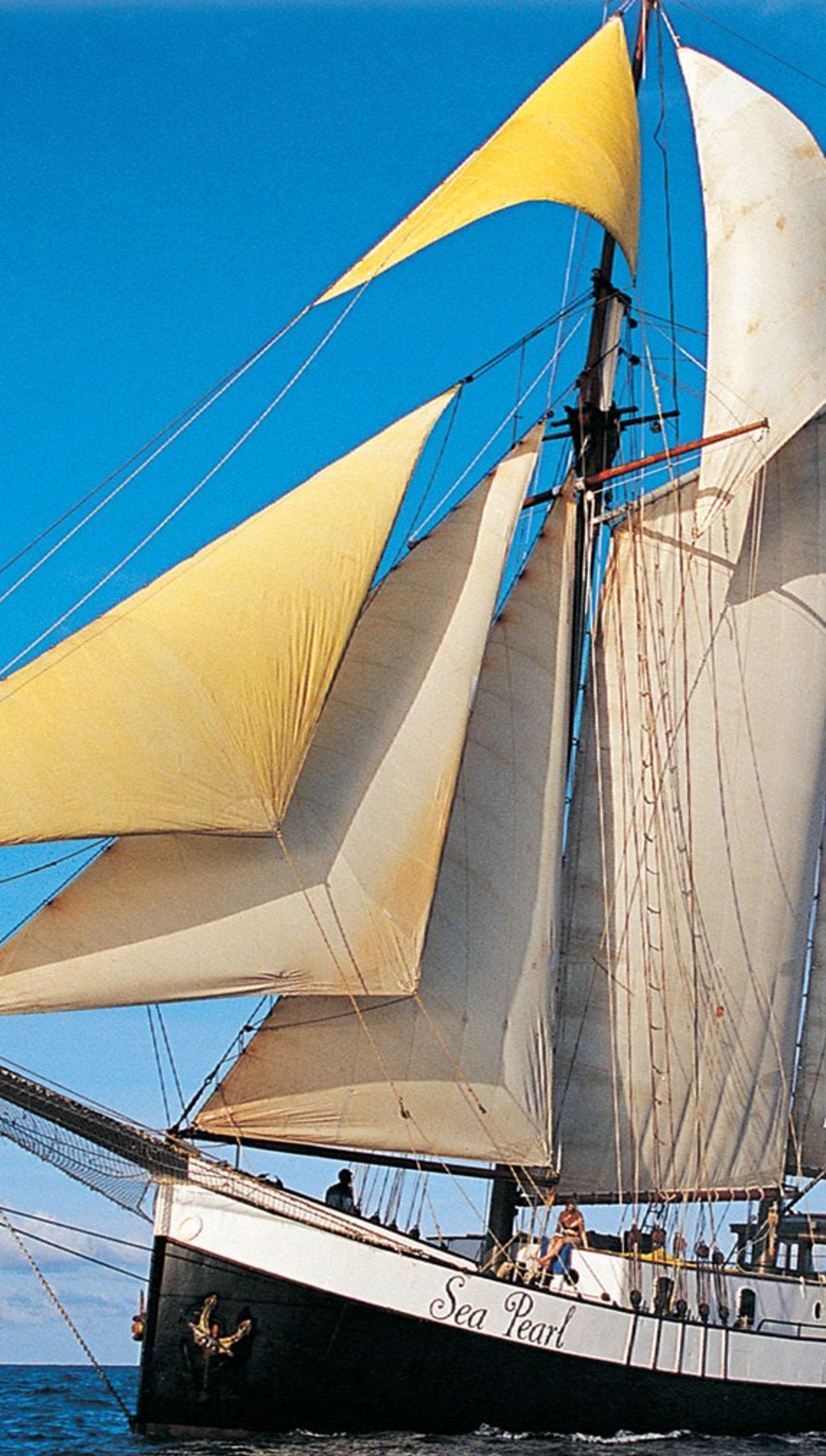 Sea Pearl