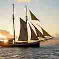 Sea Pearl