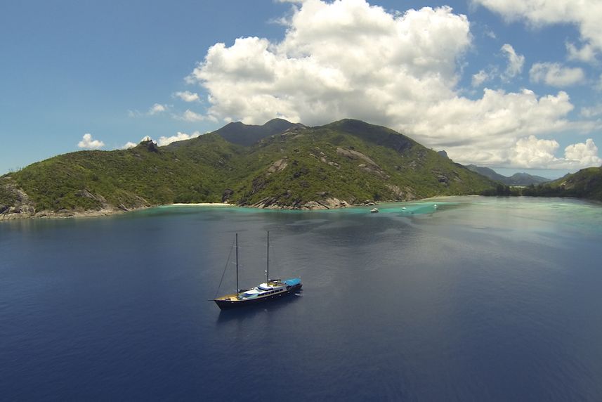 Aerial View - Sea Bird & Sea Star