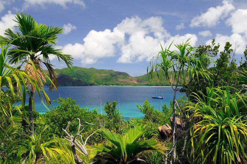 Tropical scenery in the Seychelles