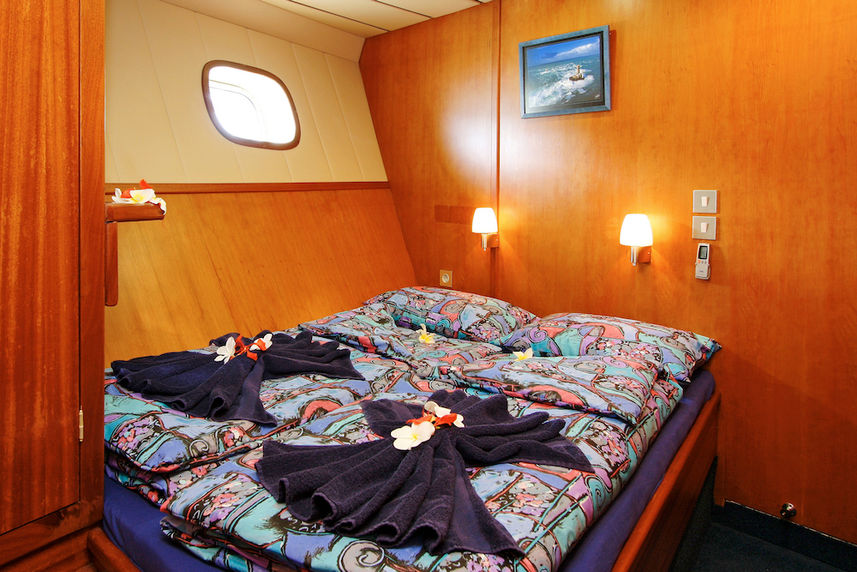 Double Cabin - Sea Bird  Sea Star