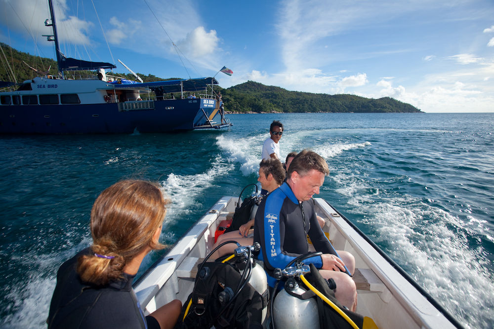 #divetender - Sea Bird Liveaboard