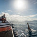 #divedeck  - Sea Bird Liveaboard