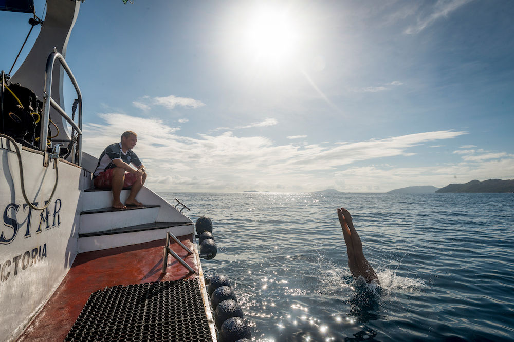 #divedeck  - Sea Bird Liveaboard