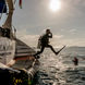 #diving  - Sea Bird & Sea Star