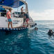 #diving  - Sea Bird Liveaboard