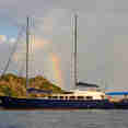 Sea Bird