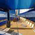 Sun Deck - Sea Bird and Sea Star