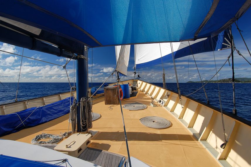 Sun Deck - Sea Bird and Sea Star