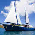 Sea Bird