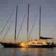 Sea Star