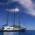 Sea Bird