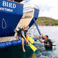 Dive Platform - Sea Bird and Sea Star