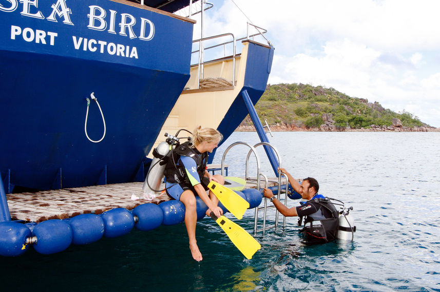 Dive Platform - Sea Bird and Sea Star