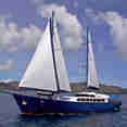 Sea Bird