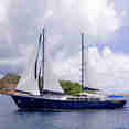 Sea Bird