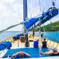 Sun Deck - Sea Bird and Sea Star