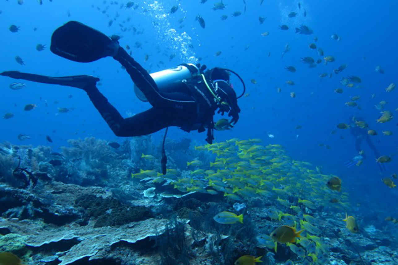Diving