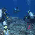 Diving