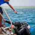 Dive Platform - Emperor Asmaa