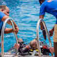 Dive Platform - Emperor Asmaa