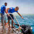 Dive Platform - Emperor Asmaa