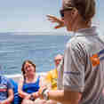 Dive Briefing - Emperor Asmaa