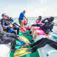 Tenders for diving - Emperor Asmaa