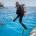 Diving - Emperor Asmaa