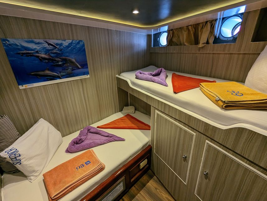 Lower Deck Bunk