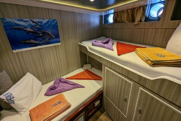 Lower Deck Bunk Cabins