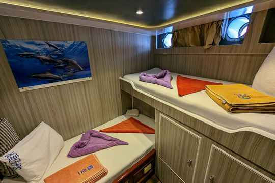 Lower Deck Bunk Cabins