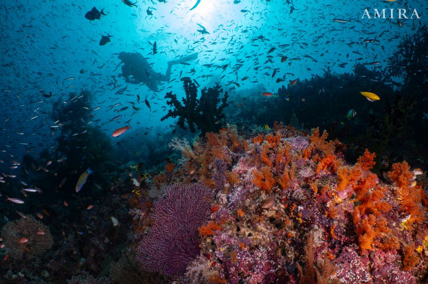 Underwater